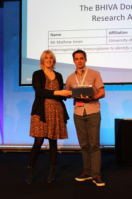 The BHIVA Don Jeffries Research Award